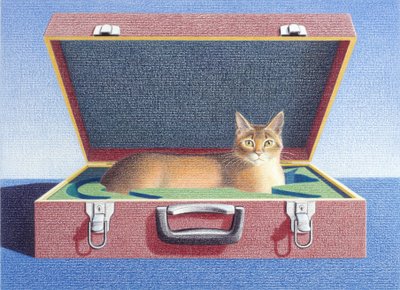 Valise 2 - Rene Boin