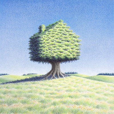 Cabane dans les arbres - Rene Boin