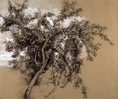 Le pommier au charbon - Rene Ernest Huet
