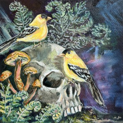 Chardonnerets à tête noire - Renee Machan Cottagecore Artist