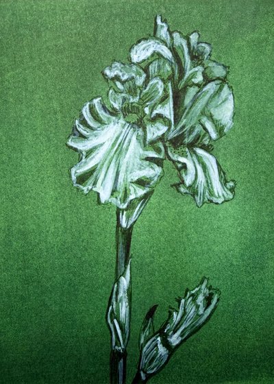 Élégant iris vert - Renee Machan Cottagecore Artist