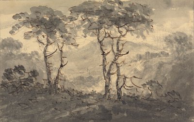Sapin dans un paysage de montagne - Rev. William Gilpin