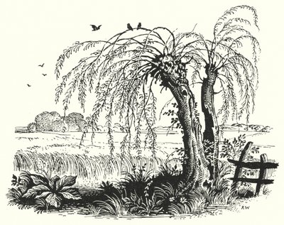 Hans Christian Andersen : Le Sarrasin - Rex (after) Whistler