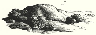 Le Mont des Elfes - Rex (after) Whistler