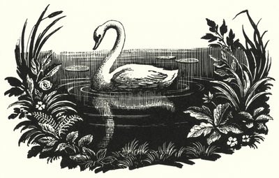 Hans Christian Andersen : Le Vilain Petit Canard - Rex (after) Whistler