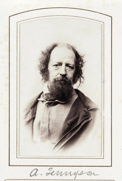 Un Tennyson, vers 1864 - John Pardon