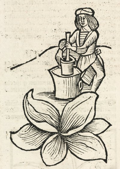 Homme médiéval utilisant un pilon et un mortier pour écraser des plantes - John Pardon