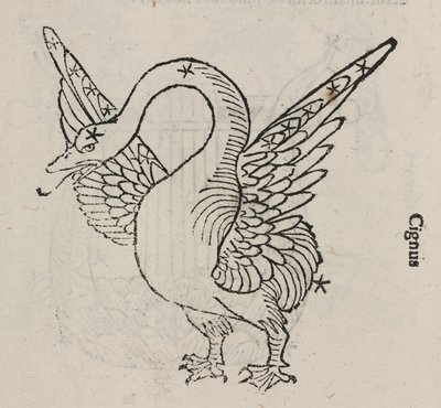 La constellation du Cygne - John Pardon