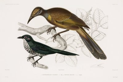 Deux types d