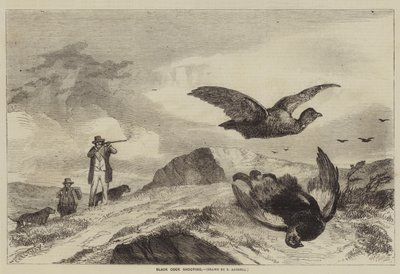 Chasse au coq noir - Richard Ansdell