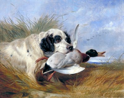 Chien avec canard sauvage, 19e siècle - Richard Ansdell
