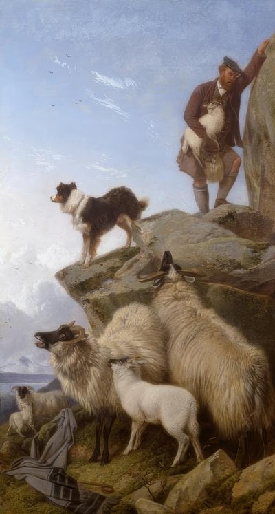R. Ansdell, Le mouton égaré / Peinture, 1868 - Richard Ansdell