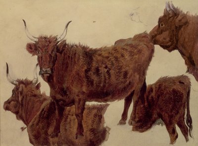 Études de bovins des Highlands - Richard Ansdell