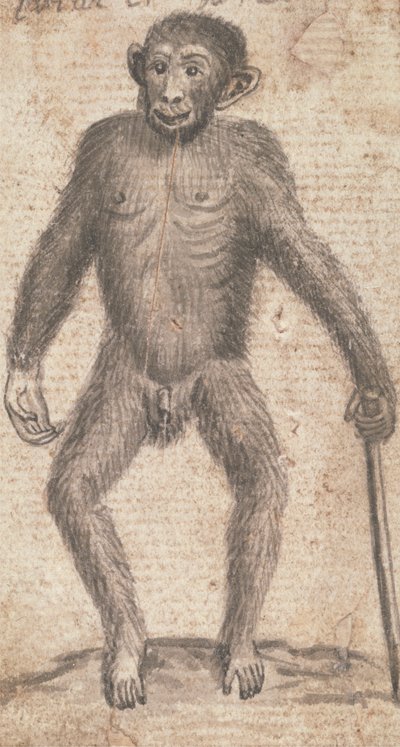 Singes (un des trois sur une monture) - Richard Brookes