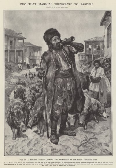 Cochons se dirigeant vers le pâturage (litho) - Richard Caton II (after) Woodville