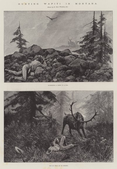 Chasse au wapiti dans le Montana - Richard Caton Woodville junior