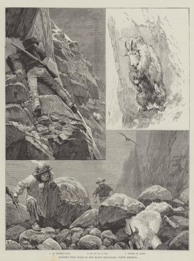 Chasse aux chèvres sauvages dans les montagnes Rocheuses, Amérique du Nord - Richard Caton Woodville junior