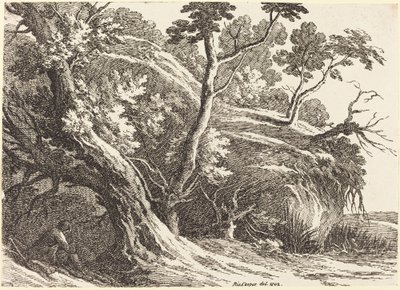Paysage avec grands arbres - Richard Cooper II