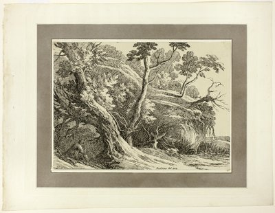 Paysage avec de grands arbres, extrait du premier numéro de Specimens of Polyautography - Richard Cooper II