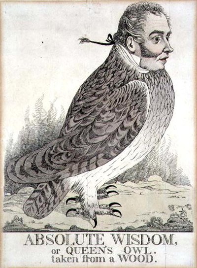 Sagesse absolue ou Chouette de la Reine prise dans un bois - Richard Dighton