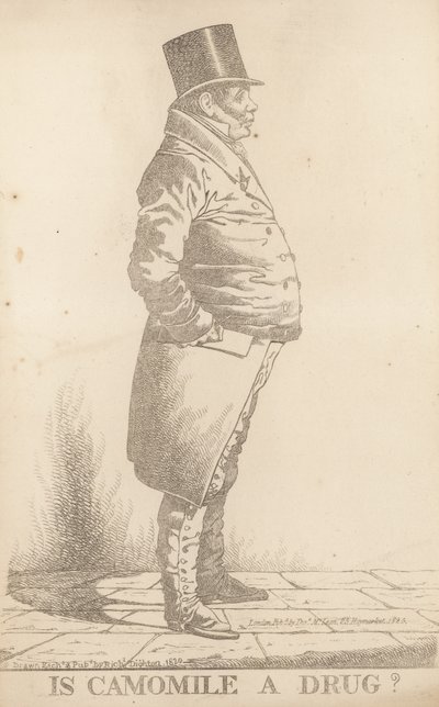 M. Bowden ; La camomille est-elle un médicament - Richard Dighton