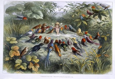 Un elfe et des oiseaux - Richard Doyle