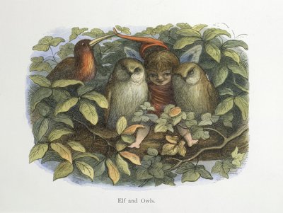 Elfe et hiboux - Richard Doyle