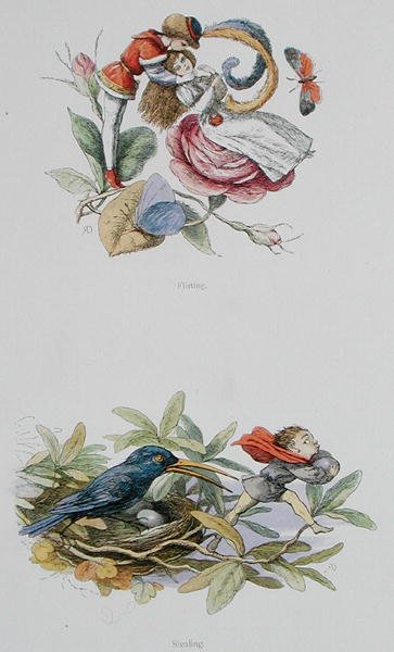 Flirter et voler, illustrations de 