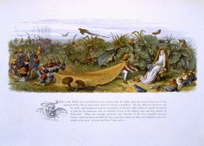 Illustrations de 
