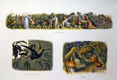 Au pays des fées - Richard Doyle