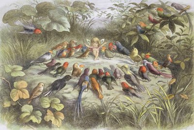 Musikprobe im Feenland (Illustration aus "Im Feenland. Bilder aus der Elfen-Welt", von William Allingham und Andrew Lang - Richard Doyle