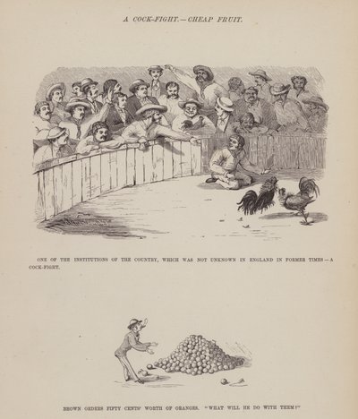Page du Tour américain de Messieurs Brown, Jones et Robinson - Richard Doyle