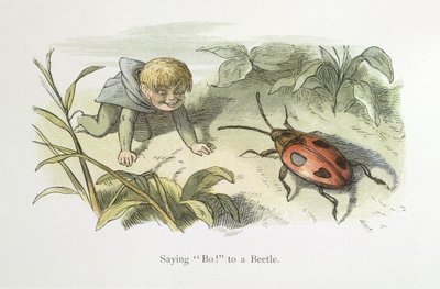 Dire Bo! à un scarabée - Richard Doyle