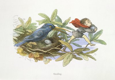 Vol - Richard Doyle