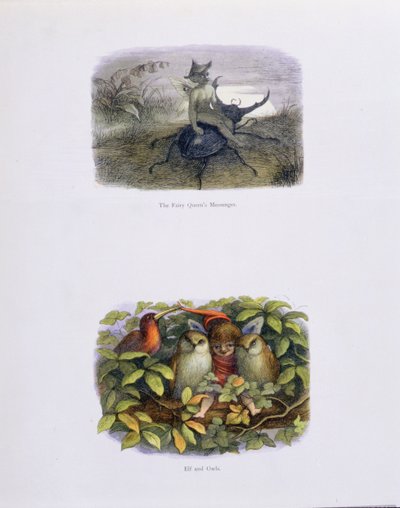 Le messager de la reine des fées, et l