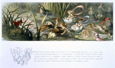 Nénuphars et fées de l