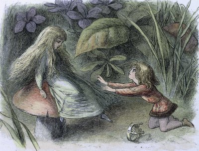 Nénuphars et fées de l