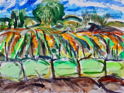 Vignobles d