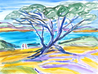 Cyprès, Carmel, 2019 - Richard Fox