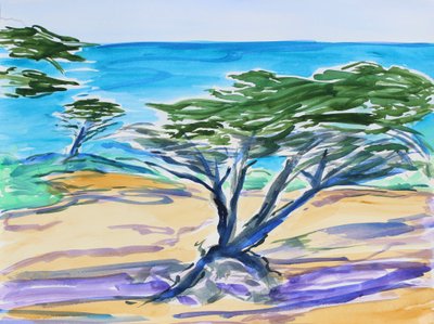 Cyprès, baie de Carmel, 2019 - Richard Fox