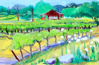 Vignoble sur Zinfandel Lane, Napa, 2019 - Richard Fox