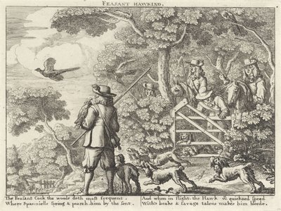 Chasse au faucon sur faisans - Richard Gaywood (possibly)