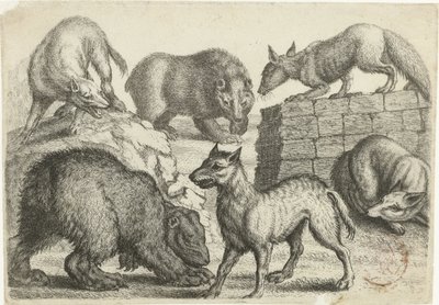 Deux ours, deux loups et deux renards - Richard Gaywood