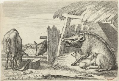 Cochons près d