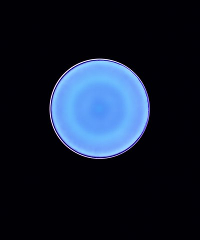 Cercle X, 2005 - Richard Green