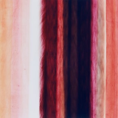 Rayure X, 2005 - Richard Green