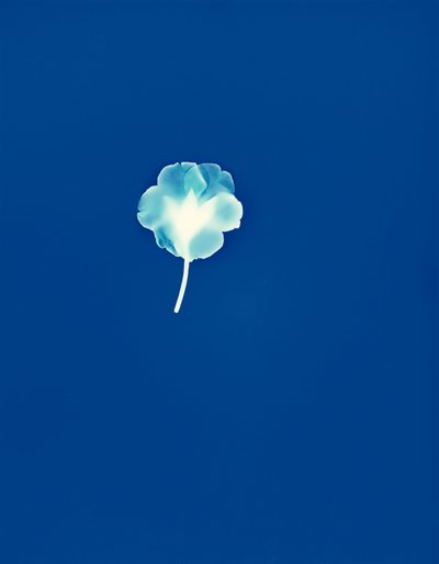 Sans titre, 2002 - Richard Green