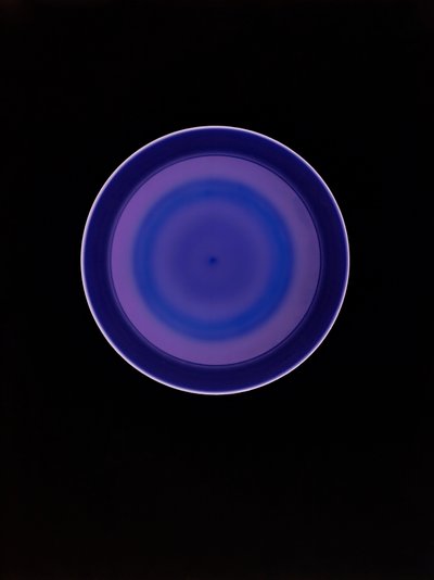 Sans titre, 2004 - Richard Green