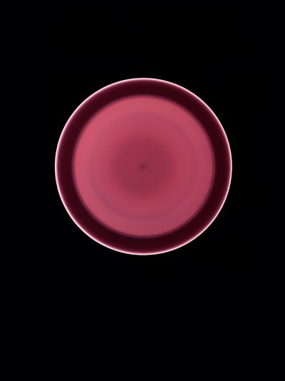 Sans titre, 2004 - Richard Green
