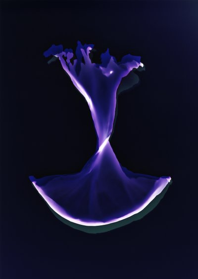 Sans titre, 2004 - Richard Green